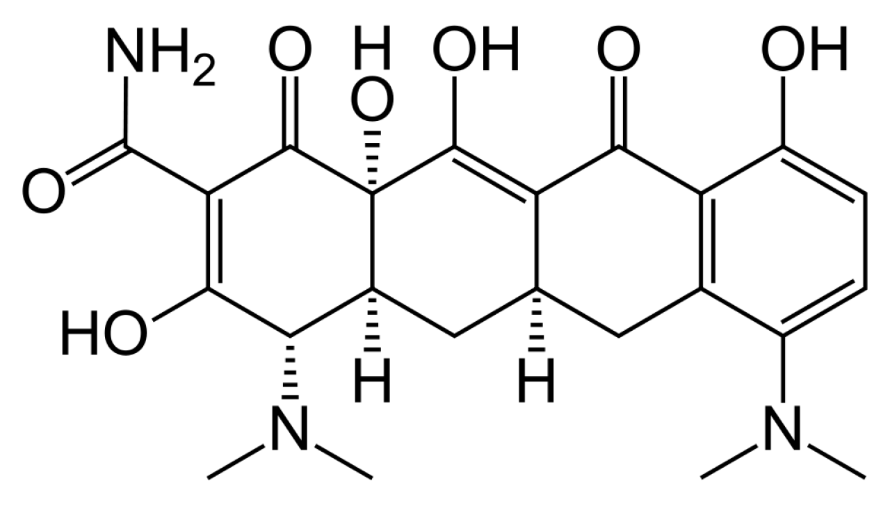 Minocycline Hydrochloride